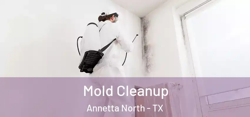  Mold Cleanup Annetta North - TX