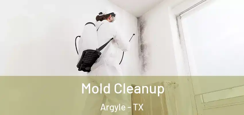  Mold Cleanup Argyle - TX