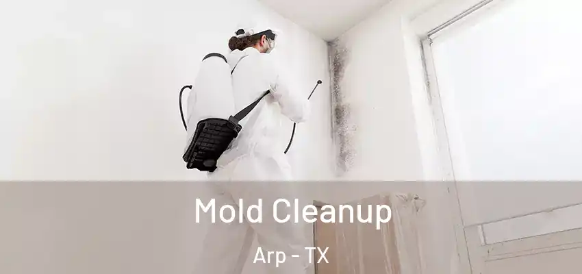  Mold Cleanup Arp - TX