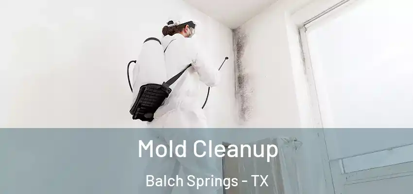  Mold Cleanup Balch Springs - TX