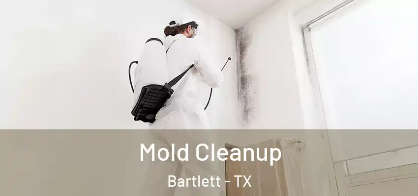 Mold Cleanup Bartlett - TX