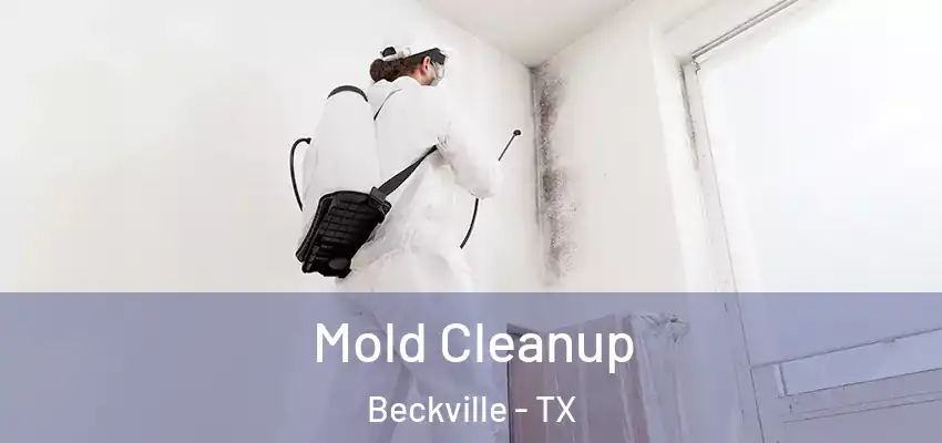  Mold Cleanup Beckville - TX