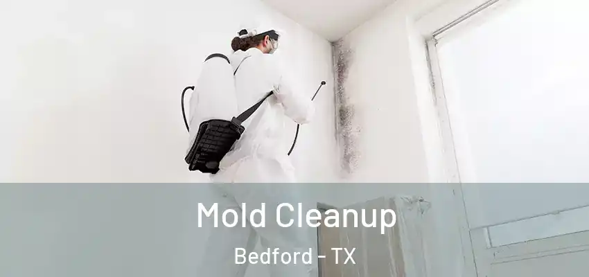 Mold Cleanup Bedford - TX