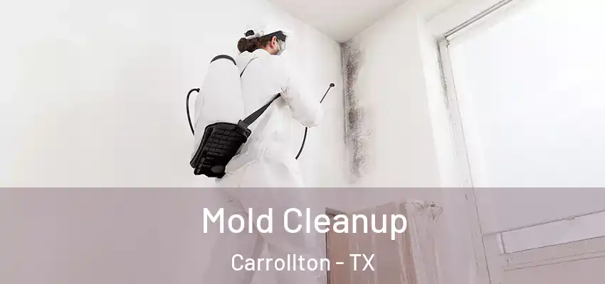  Mold Cleanup Carrollton - TX
