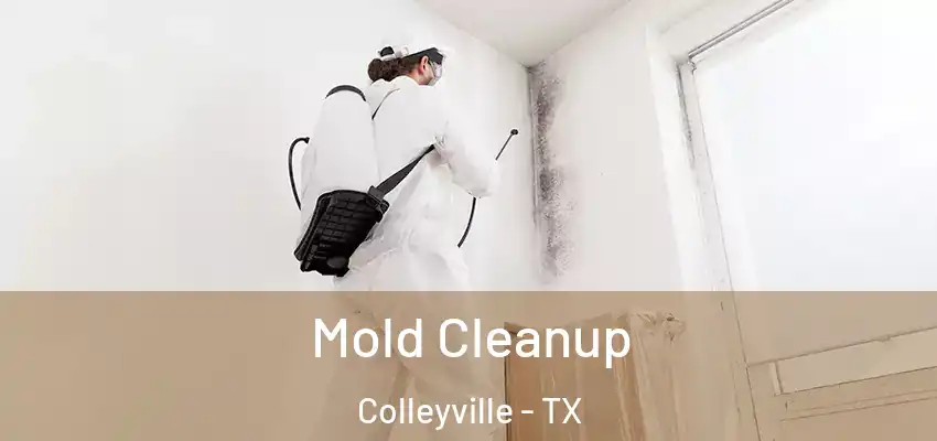  Mold Cleanup Colleyville - TX