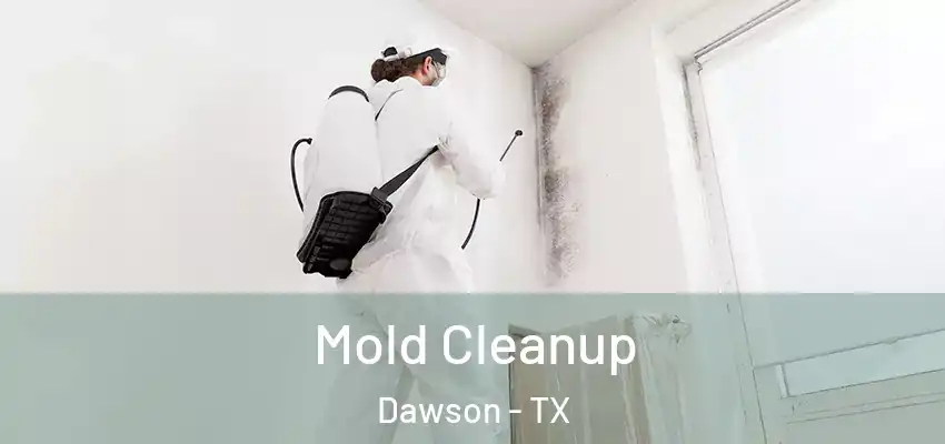 Mold Cleanup Dawson - TX