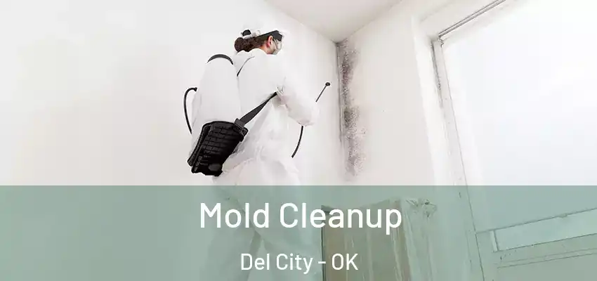 Mold Cleanup Del City - OK
