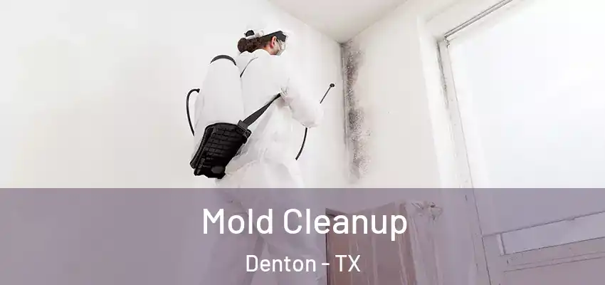 Mold Cleanup Denton - TX