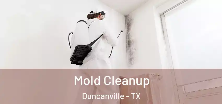  Mold Cleanup Duncanville - TX