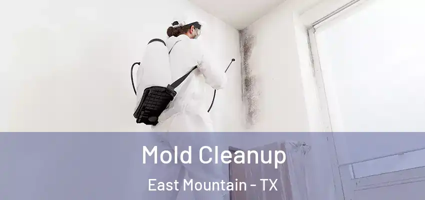  Mold Cleanup East Mountain - TX