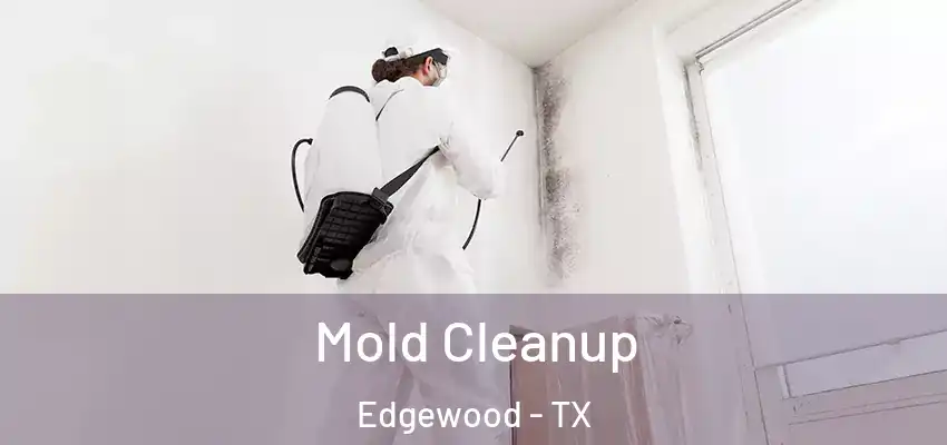 Mold Cleanup Edgewood - TX