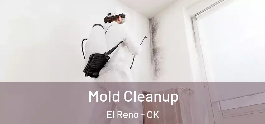 Mold Cleanup El Reno - OK