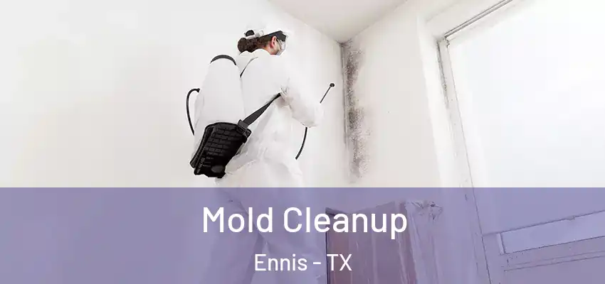 Mold Cleanup Ennis - TX