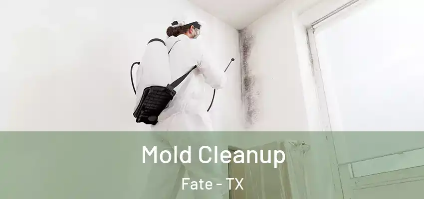  Mold Cleanup Fate - TX