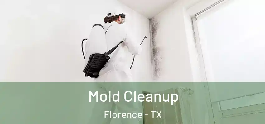  Mold Cleanup Florence - TX