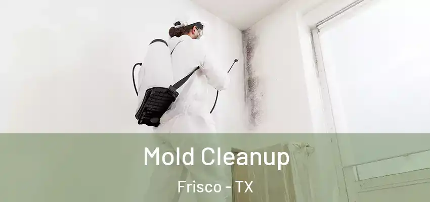  Mold Cleanup Frisco - TX