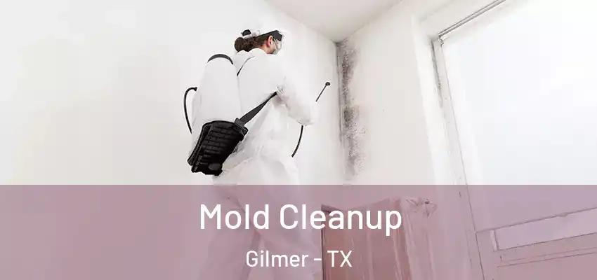  Mold Cleanup Gilmer - TX