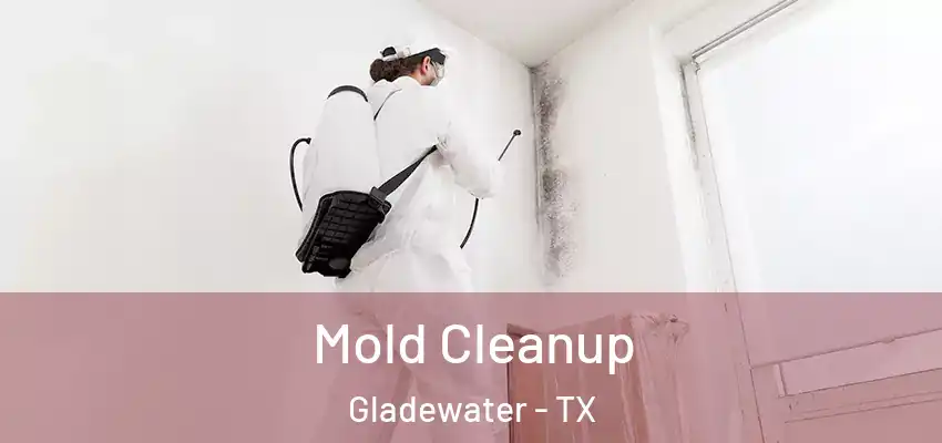  Mold Cleanup Gladewater - TX