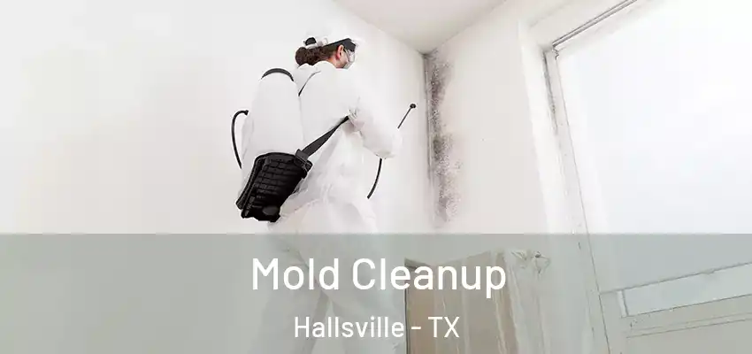  Mold Cleanup Hallsville - TX