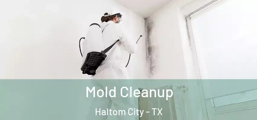  Mold Cleanup Haltom City - TX