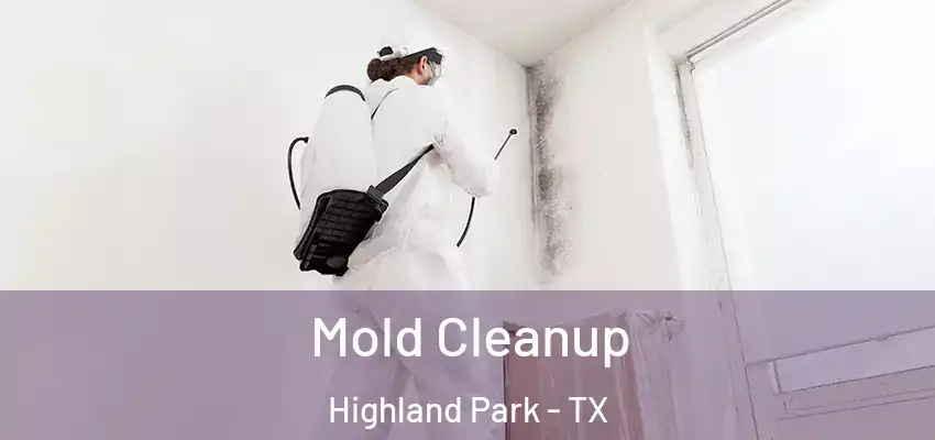 Mold Cleanup Highland Park - TX