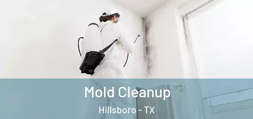  Mold Cleanup Hillsboro - TX
