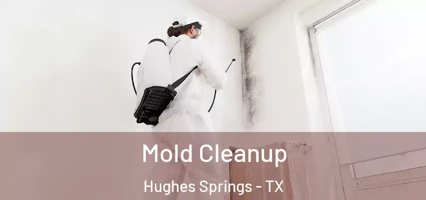 Mold Cleanup Hughes Springs - TX