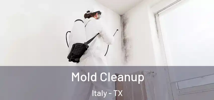  Mold Cleanup Italy - TX