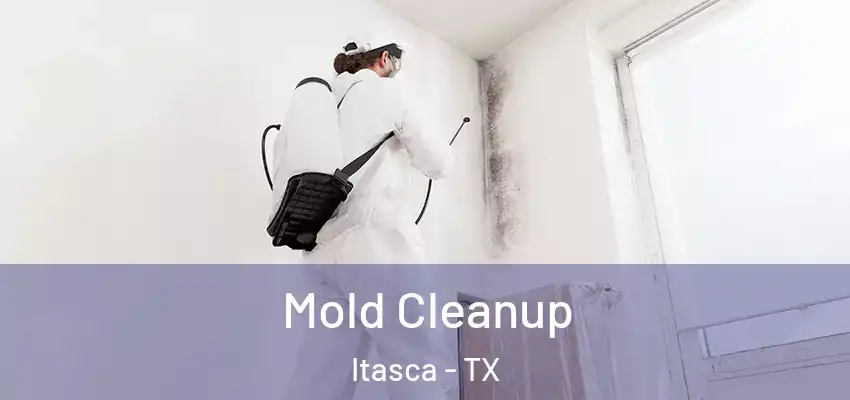  Mold Cleanup Itasca - TX