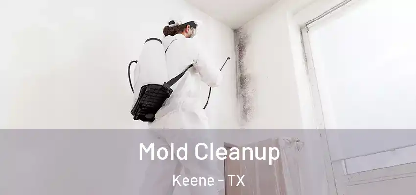Mold Cleanup Keene - TX