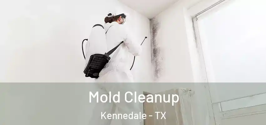 Mold Cleanup Kennedale - TX