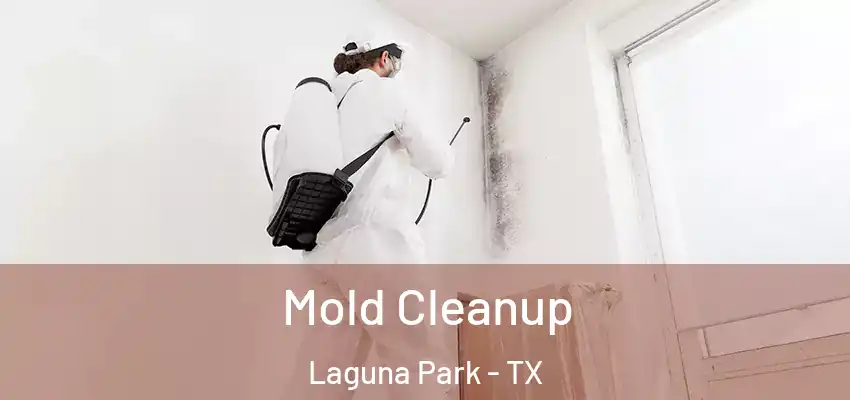 Mold Cleanup Laguna Park - TX