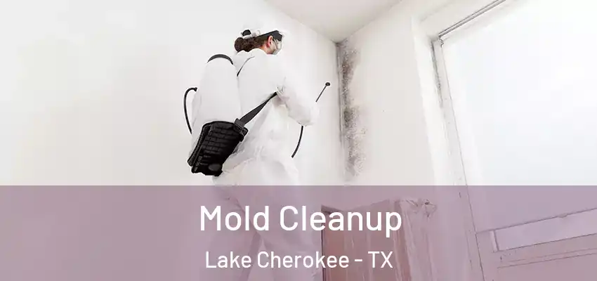 Mold Cleanup Lake Cherokee - TX