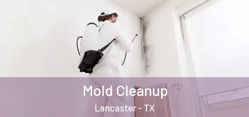  Mold Cleanup Lancaster - TX