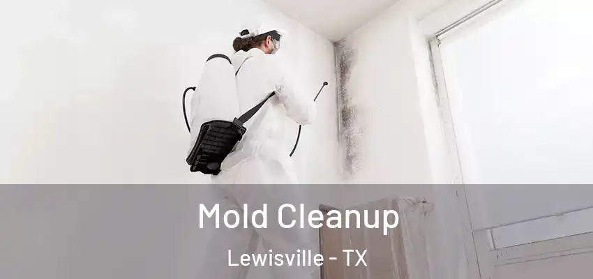 Mold Cleanup Lewisville - TX