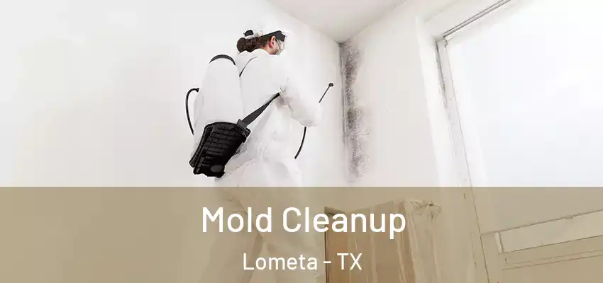 Mold Cleanup Lometa - TX