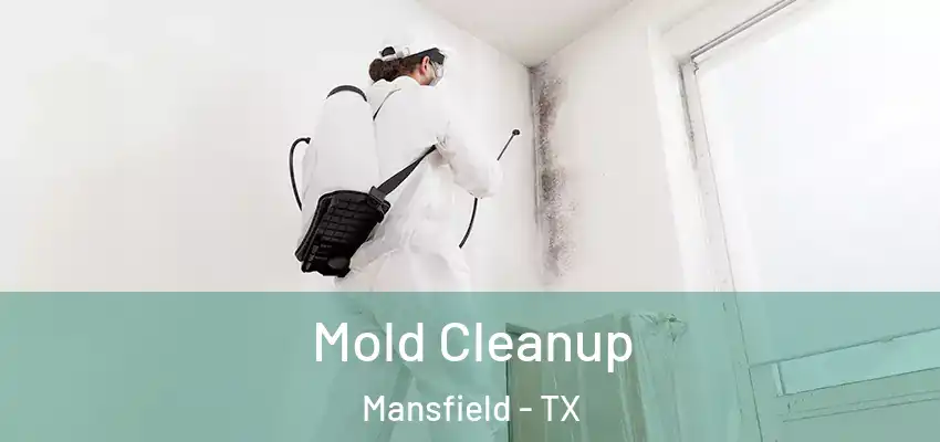 Mold Cleanup Mansfield - TX