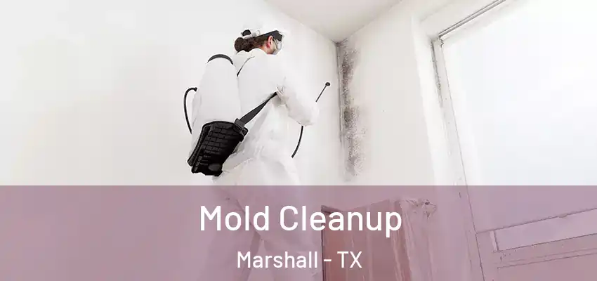  Mold Cleanup Marshall - TX