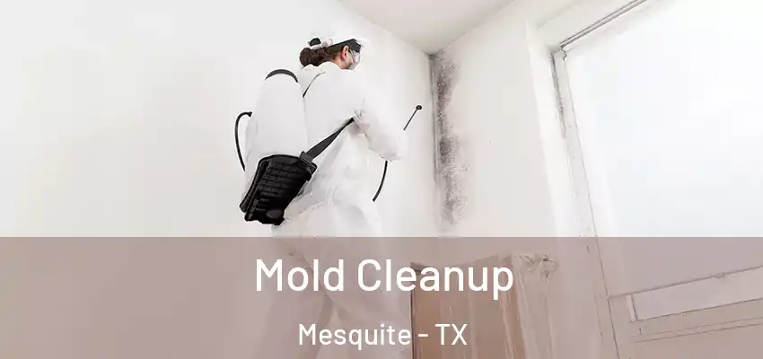  Mold Cleanup Mesquite - TX