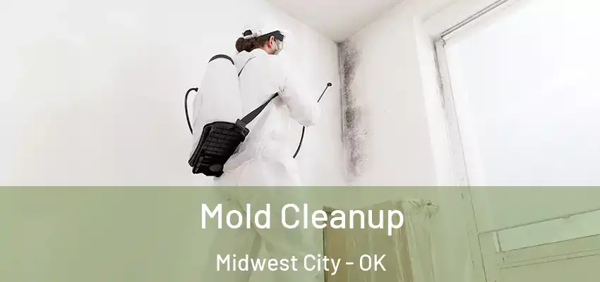 Mold Cleanup Midwest City - OK