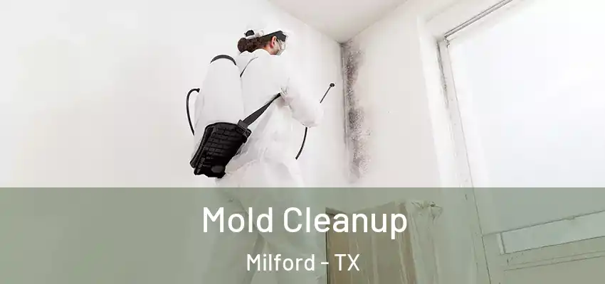  Mold Cleanup Milford - TX
