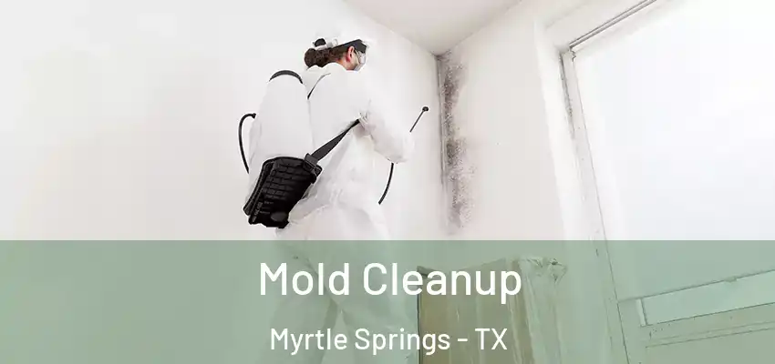  Mold Cleanup Myrtle Springs - TX