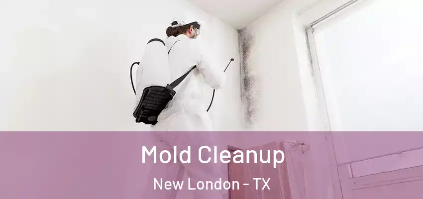  Mold Cleanup New London - TX