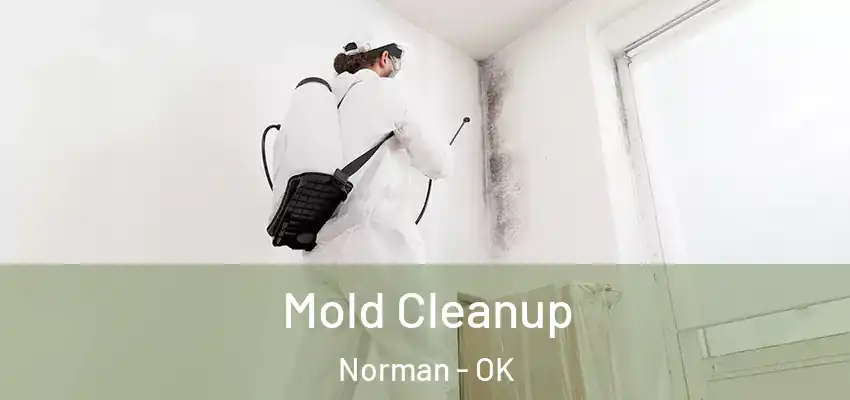  Mold Cleanup Norman - OK