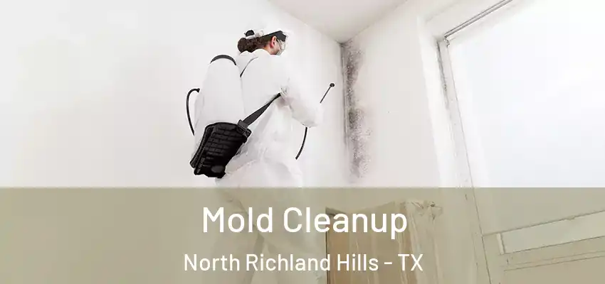 Mold Cleanup North Richland Hills - TX