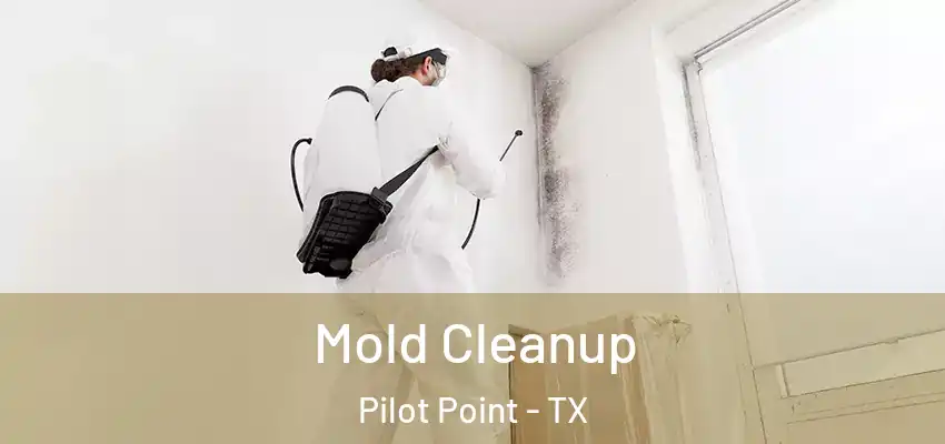 Mold Cleanup Pilot Point - TX