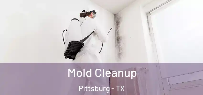  Mold Cleanup Pittsburg - TX