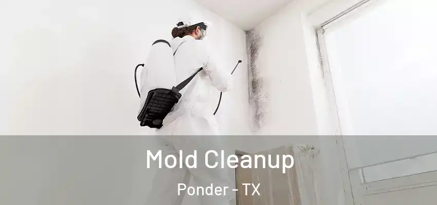 Mold Cleanup Ponder - TX