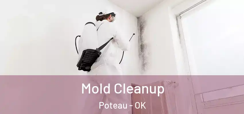  Mold Cleanup Poteau - OK