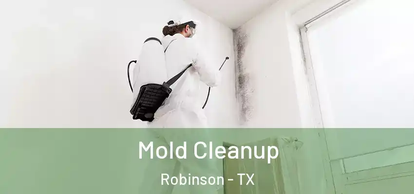 Mold Cleanup Robinson - TX